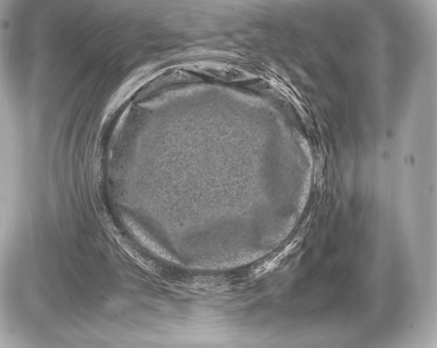 X0000085810101200704091617