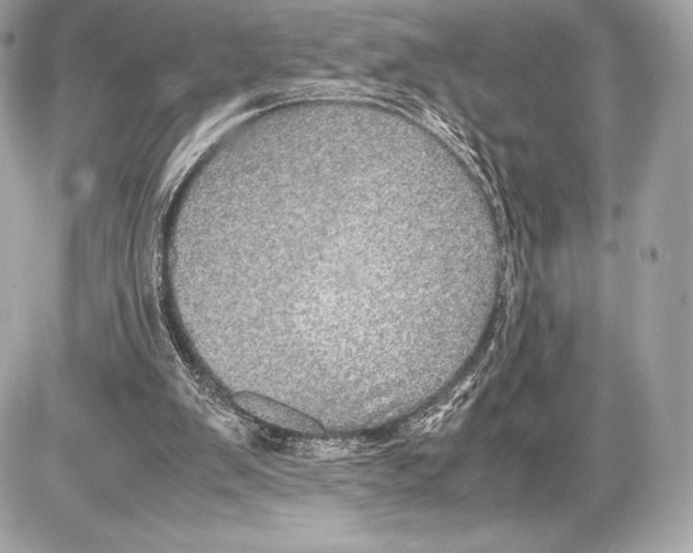 X0000085810103200704091617