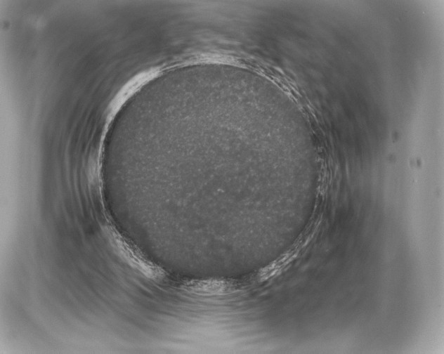 X0000085810104200704091617