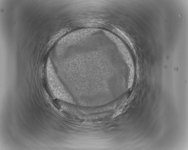 X0000085810105200704091617