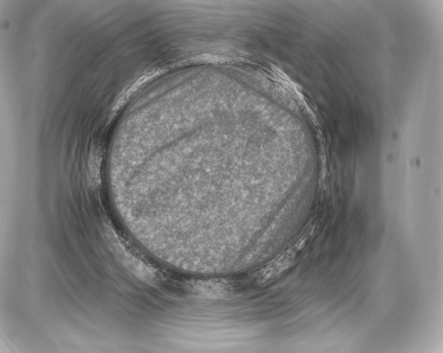 X0000085810106200704091617