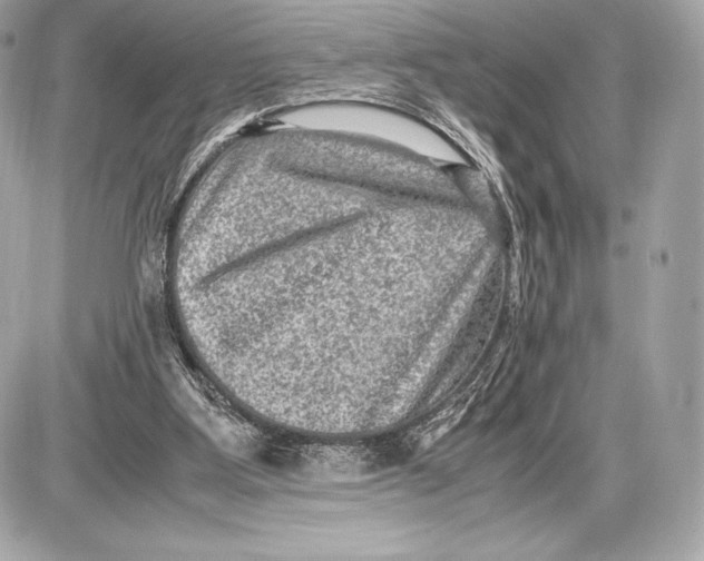 X0000085810107200704091617