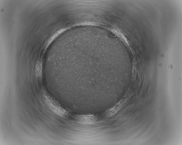 X0000085810108200704091617