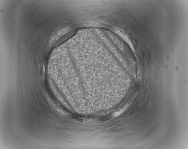 X0000085810109200704091617