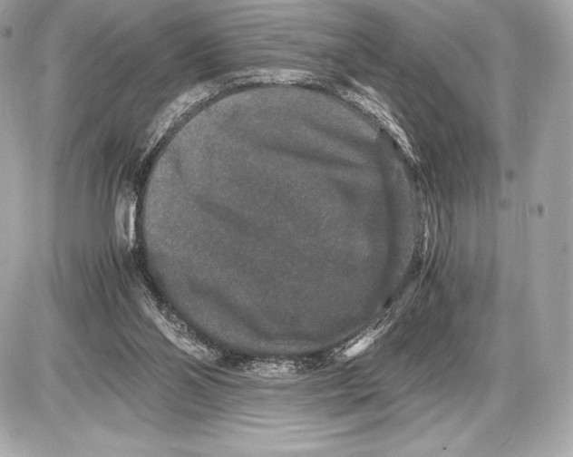 X0000085810110200704091617