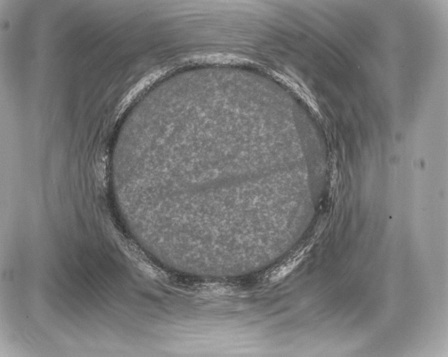 X0000085810111200704091617