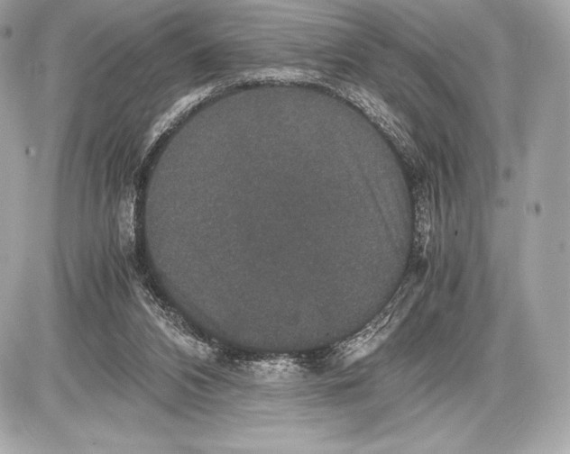 X0000085810112200704091617