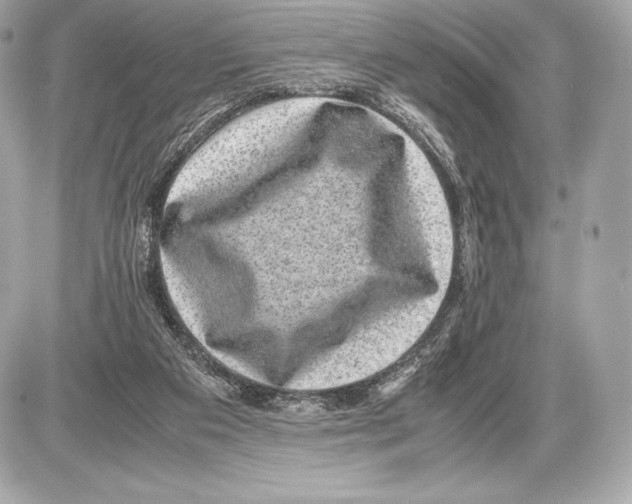 X0000085810113200704091617