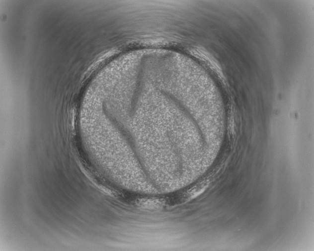 X0000085810115200704091617