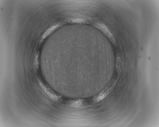 X0000085810116200704091616