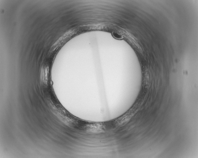 X0000085810118200704091616