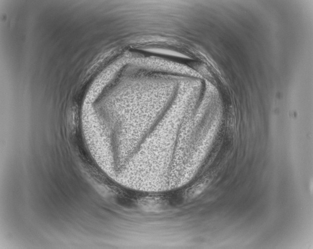 X0000085810119200704091616