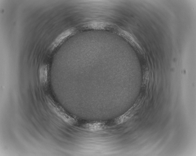 X0000085810120200704091616