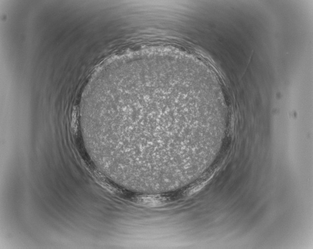 X0000085810121200704091616