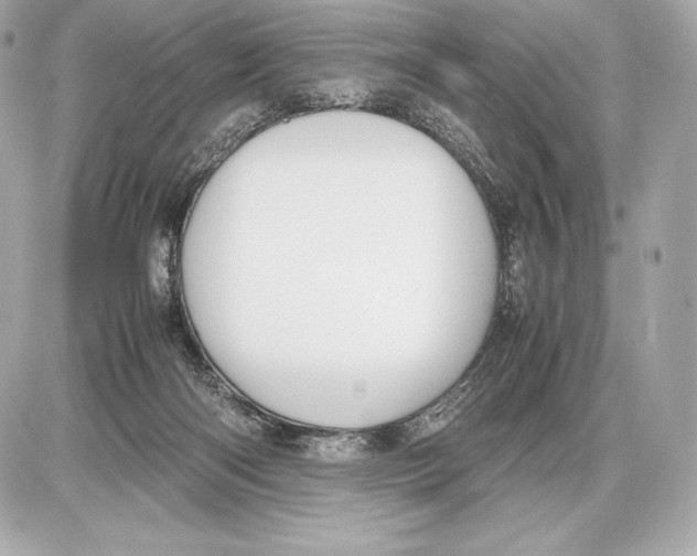 X0000085810122200704091616