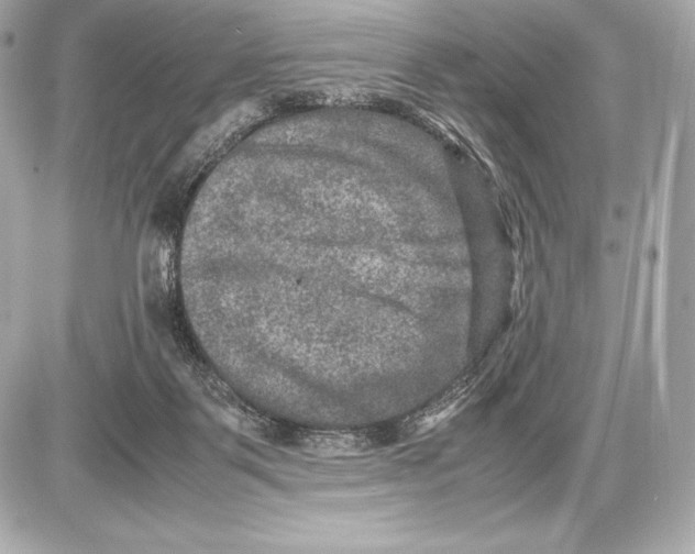 X0000085810123200704091616