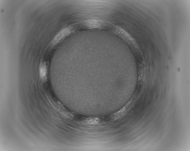 X0000085810124200704091616