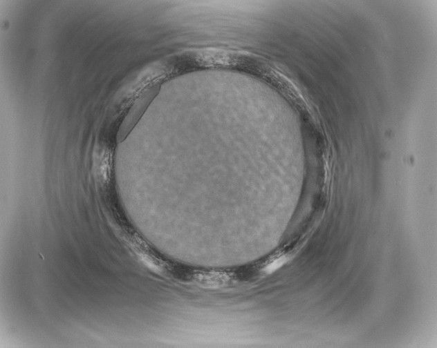 X0000085810125200704091616