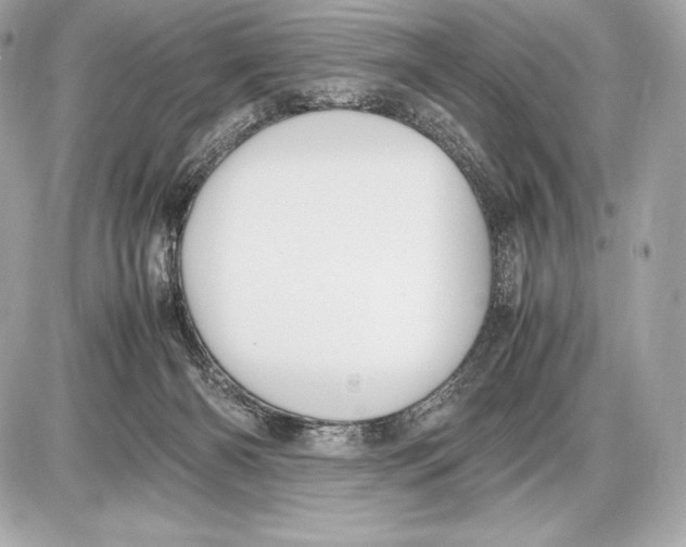 X0000085810126200704091616