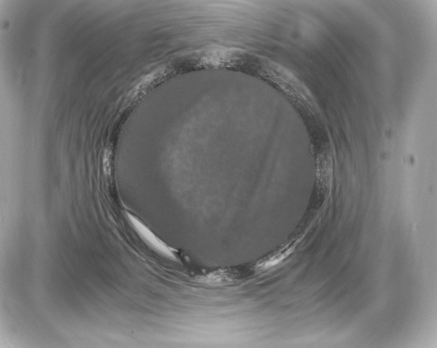 X0000085810127200704091616