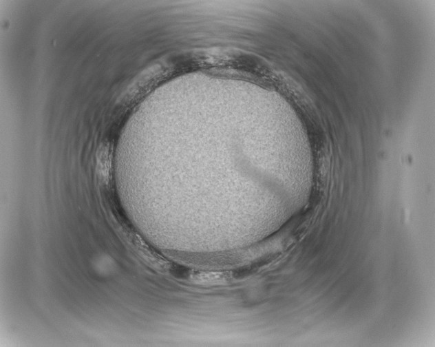 X0000085810129200704091616