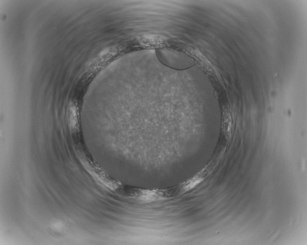 X0000085810130200704091616