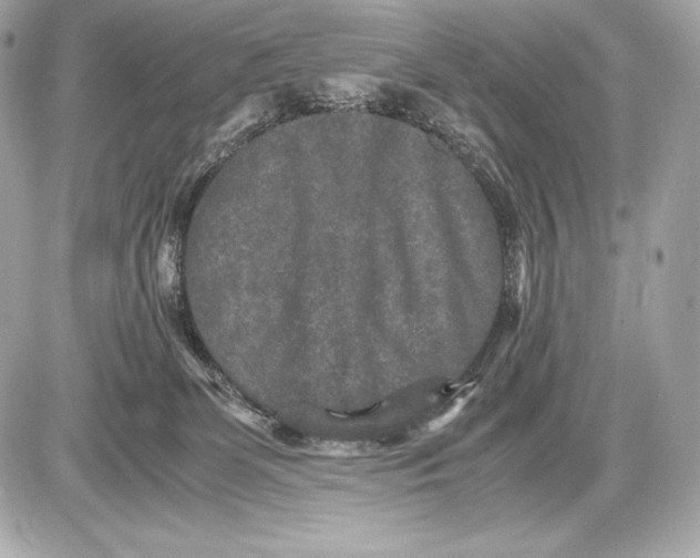 X0000085810131200704091616