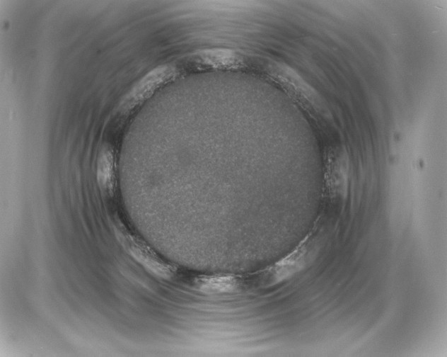 X0000085810132200704091616