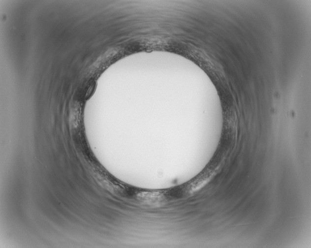 X0000085810133200704091616