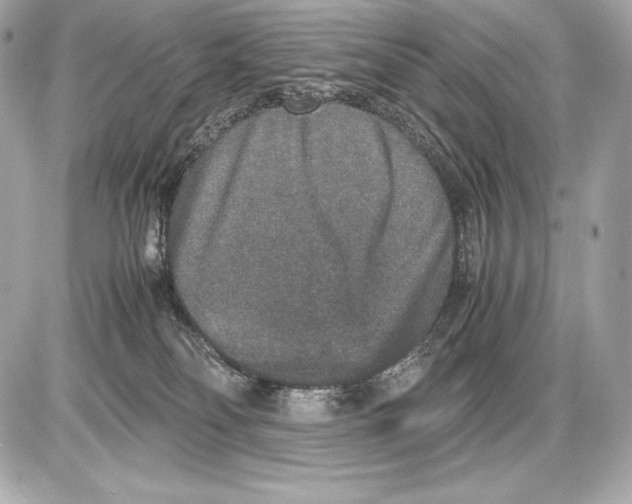 X0000085810134200704091616