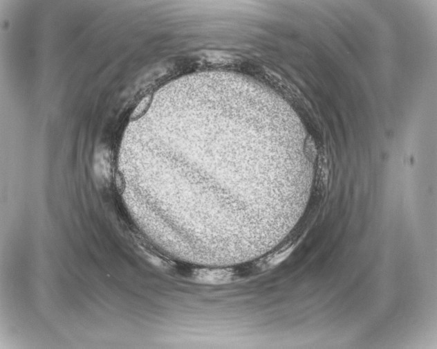 X0000085810135200704091616