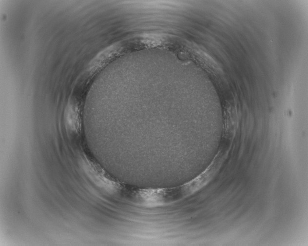 X0000085810136200704091616