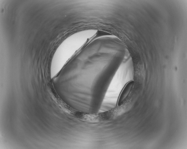 X0000085810139200704091616