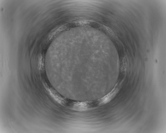 X0000085810140200704091616