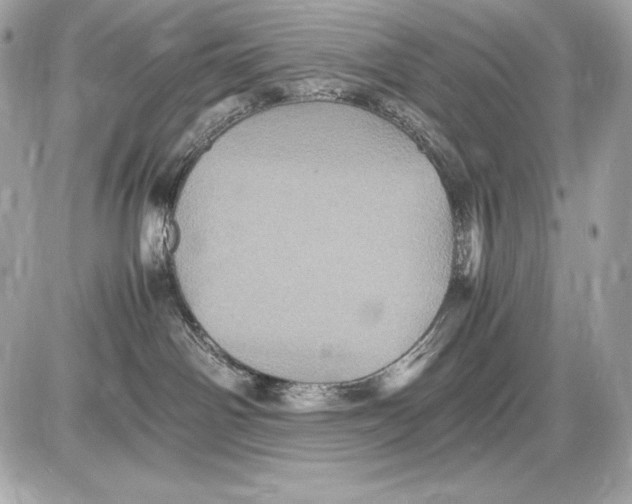 X0000085810142200704091616