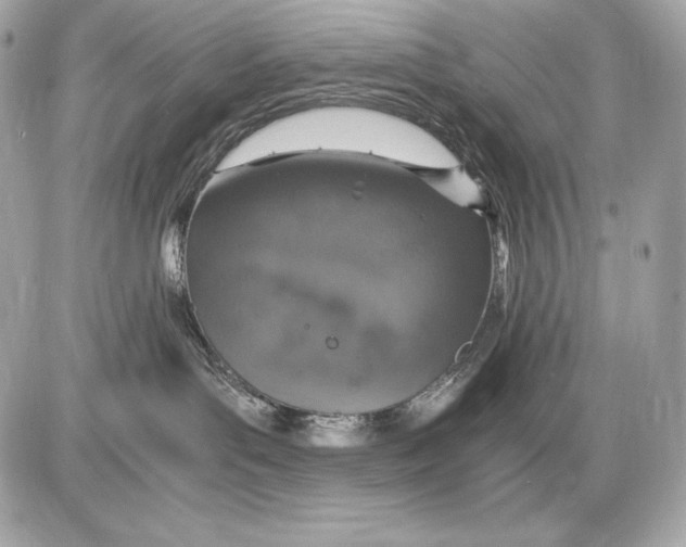 X0000085810143200704091616