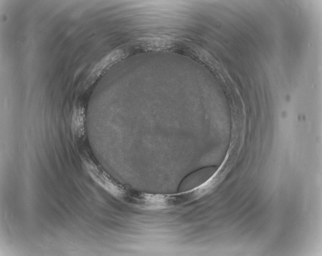 X0000085810144200704091616