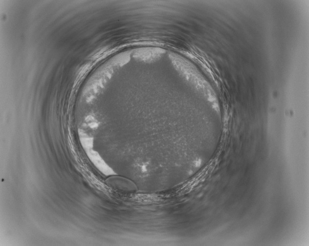 X0000085810145200704091615