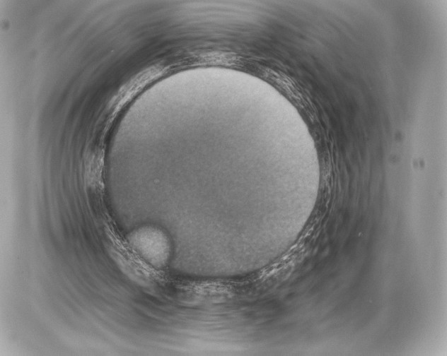 X0000085810146200704091615