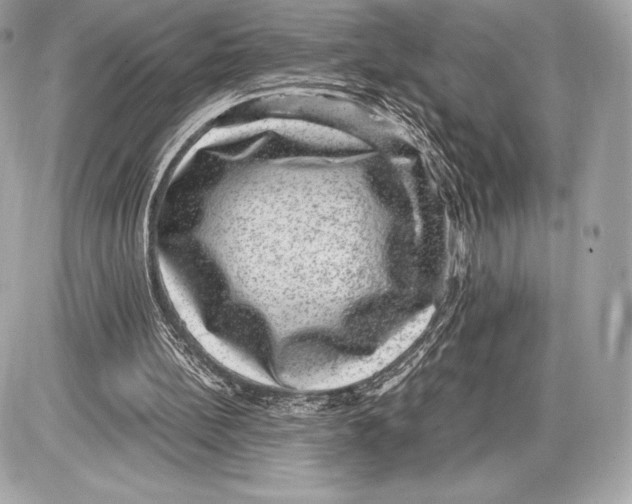 X0000085810148200704091615