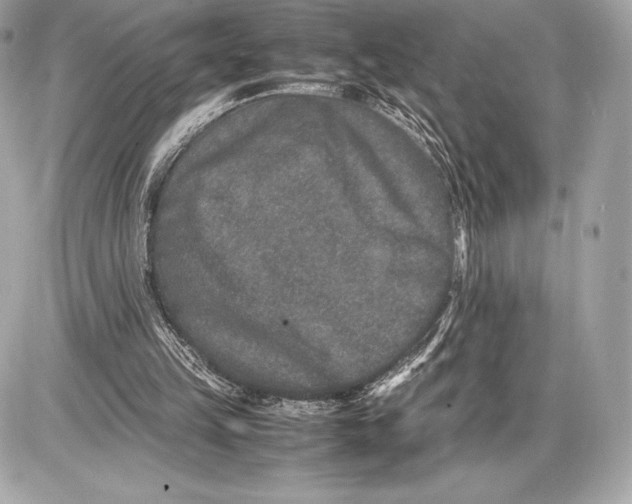 X0000085810149200704091615