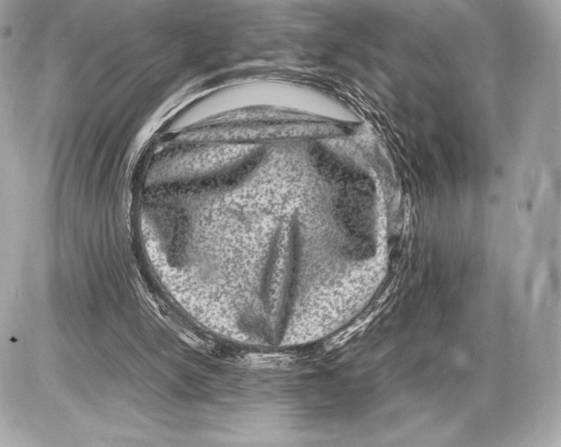 X0000085810150200704091615