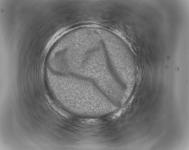 X0000085810151200704091615