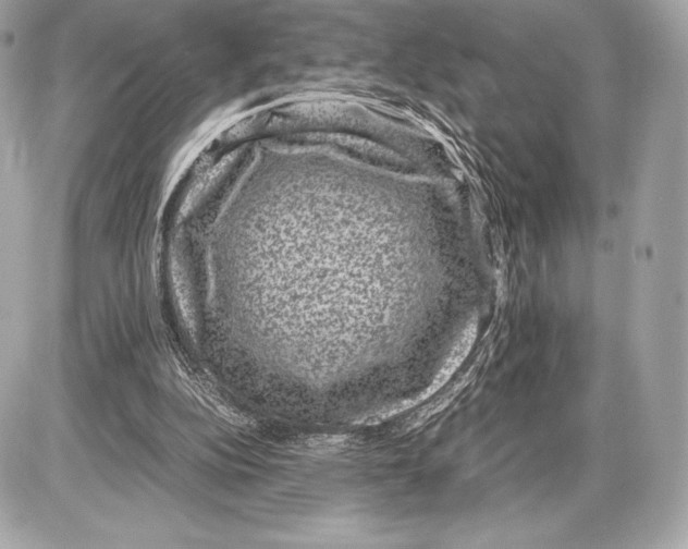 X0000085810152200704091615