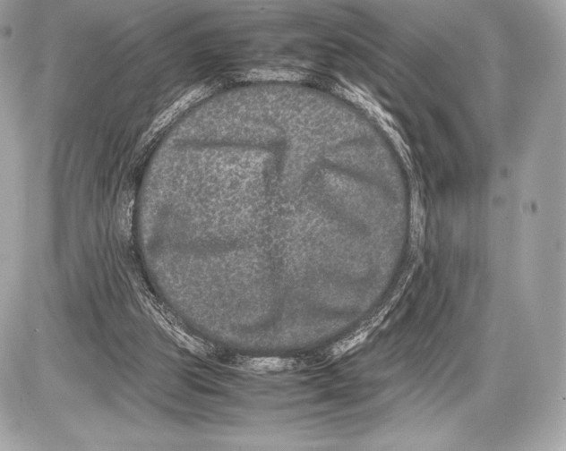 X0000085810153200704091615