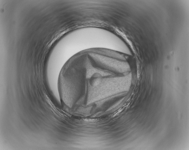 X0000085810154200704091615