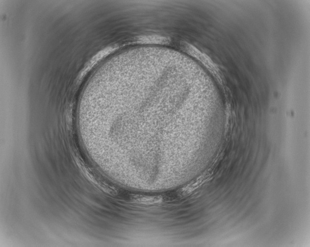 X0000085810155200704091615