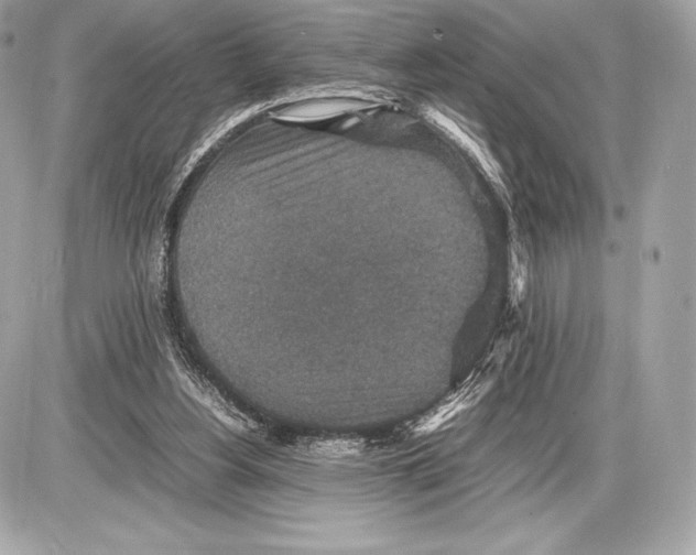 X0000085810156200704091615