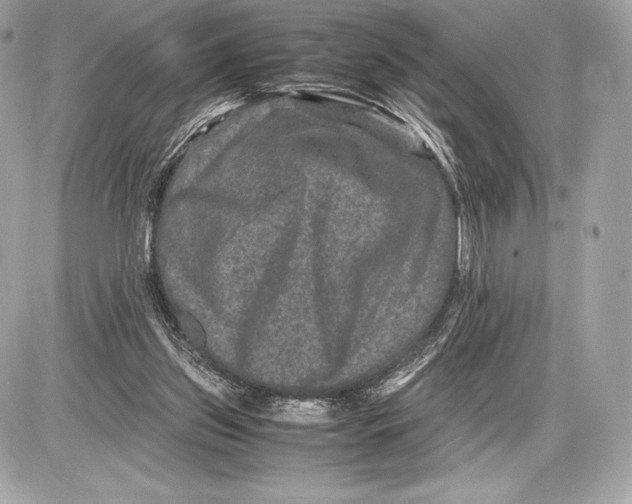 X0000085810157200704091615