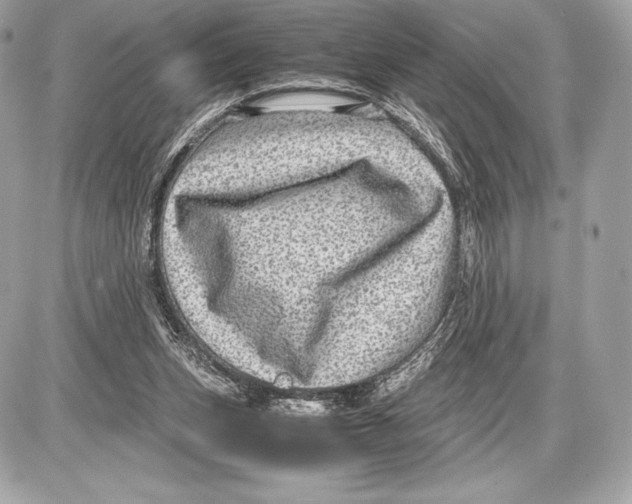 X0000085810159200704091615